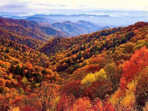 Great Smoky Mountains in october