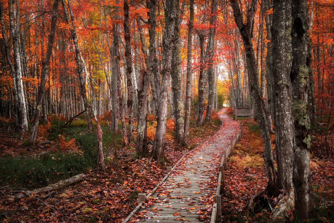 Acadia National Park in october