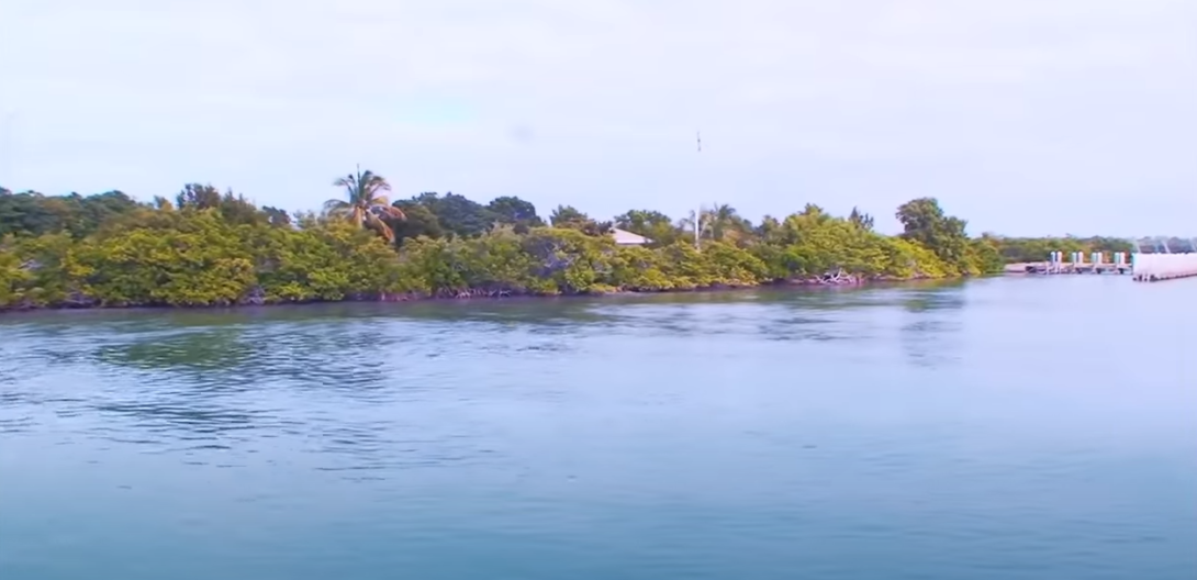 Biscayne National Park from the boat