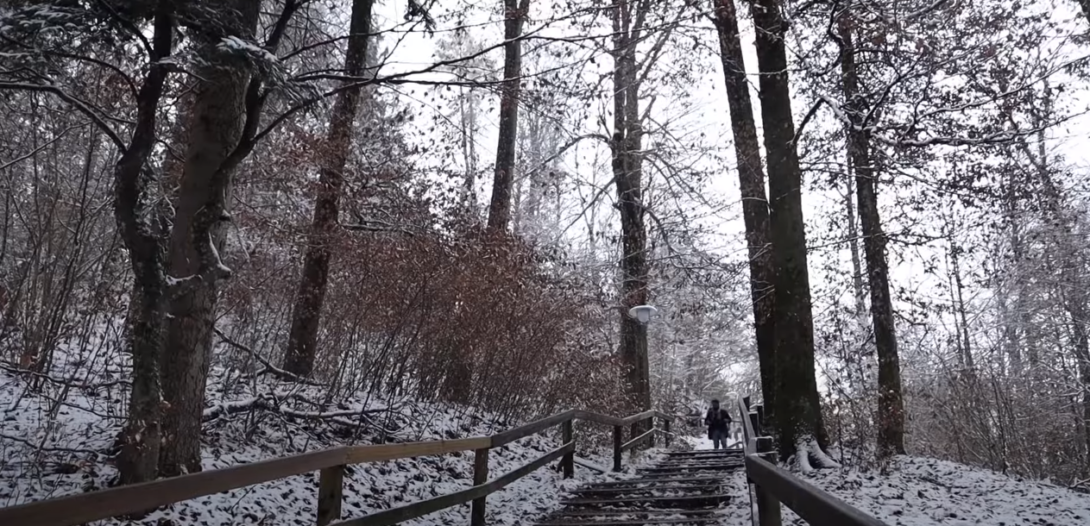 An image of outdoor stairs in a snow-covered forest