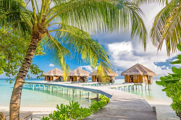 Nipa huts standing over water with connecting bridges, and a prominent coconut tree