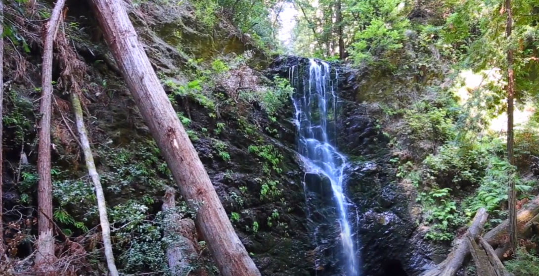 Waterfall surrounded by trees