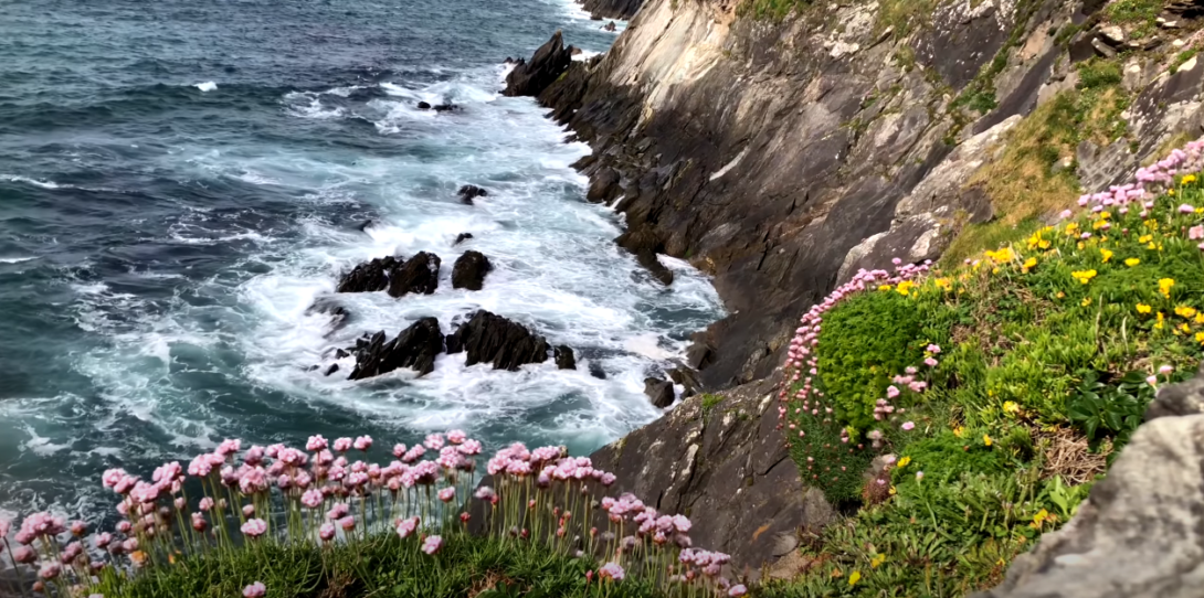 Rippling water halted by a rock formation, with flowers and grasses