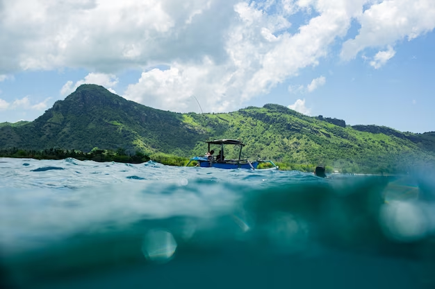 Image of an island with a boat on the water