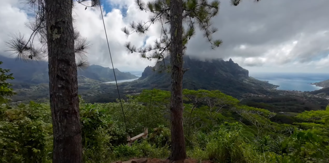 Image of a mountaintop with two trees and a swing suspended between them