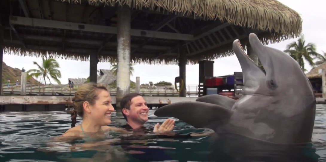 Two individuals engaging with a dolphin