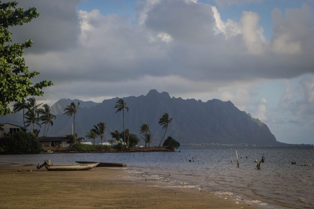 Beach with palm trees and mountains