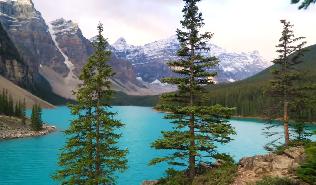 moraine lake - blue lake, trees, iced mountains far away