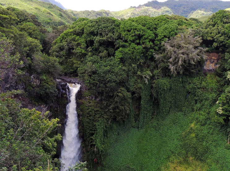 Waterfall Wonders Hilo