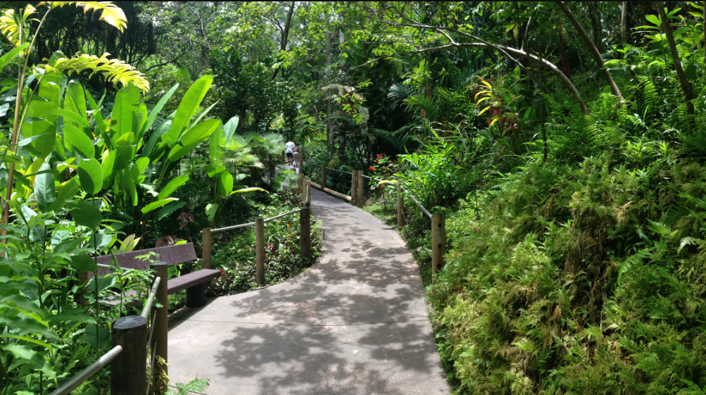 Hawaii Tropical Botanical Garden