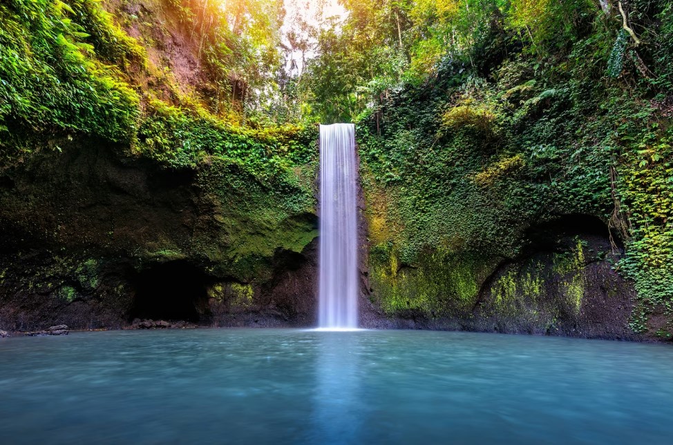 a mesmerizing waterfall in a tropical fores