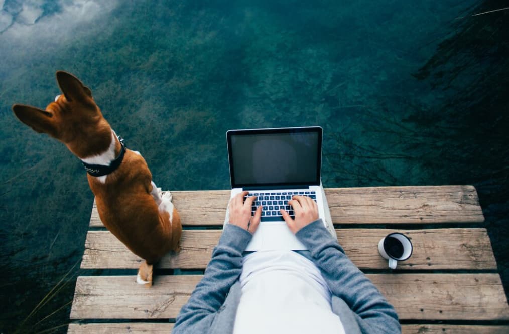 A person working on a laptop by the lake with a dog beside them